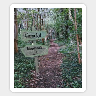 Which way to Camelot? Sticker